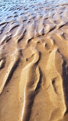 Wave sculpted ripples in the golden sand on this perfectly patterned beach.