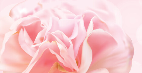 Pink roses are placed on a sweet pink tone background, vector illustration and design.