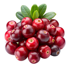 Cranberry with leaves isolated on white