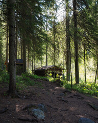 Timbered cabin in the forest