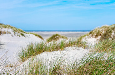 Dunes landscape, East Friesland, Lower Saxony, Germany, Europe.
