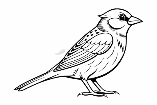recommend clip art: Sparrow Bird Line Art Vector Design,sparrow bird, bird line art, line art vector, sparrow vector, bird illustration, vector design, sparrow line art, bird drawing, bird silhouette, 