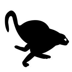 pet
Cat
beloved animal
lovely animal
funny cat