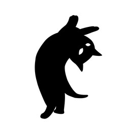 pet
Cat
beloved animal
lovely animal
funny cat
Vector cat
