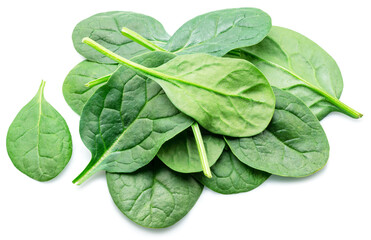 Green fresh spinach leaves isolated on white background.