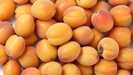 apricot fruit isolated on white background close up 