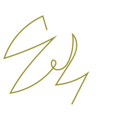 Abstract squiggly lines vector