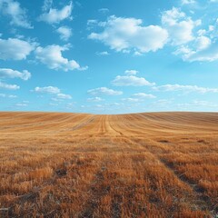 Serene Landscape: Detailed Textures on Minimalist Background, High-Resolution Photography Style