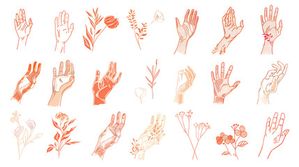 Fototapeta premium Collection of fine hand-drawn style logos and icon