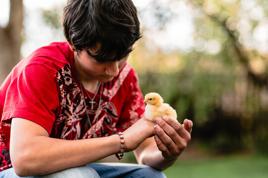 Teen boy in red shirt gently holding a yellow chick outdoors.