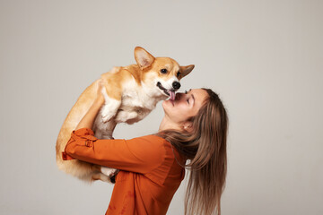 a brunette girl holds and hugs a red corgi dog on a clean light background, the concept of love for animals