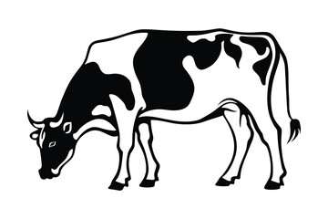 Vector drawing of cow isolated on white background, vector design	