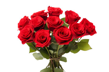 A Symphony of Scarlet Petals on a White or Clear Surface PNG Transparent Background.