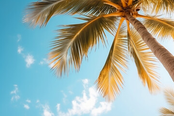 Summer holidays travel concept. Palm trees against blue sky