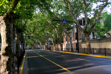 Green natural park at the center of megapolis Shanghai city