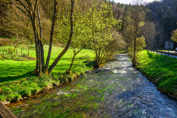 Erfrischender Fluss in intakter Naturlandschaft in der Fränkischen Schweiz, Deutschland