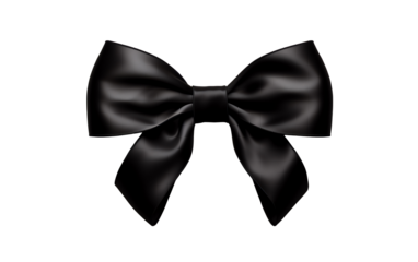 a black bow on a white background