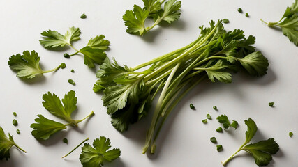 Parsley Adds a fresh, slightly peppery flavor and vibrant color, often used as a garnish