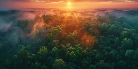 Fototapeta premium Dramatic Aerial Photograph of the Jungle at Sunrise.