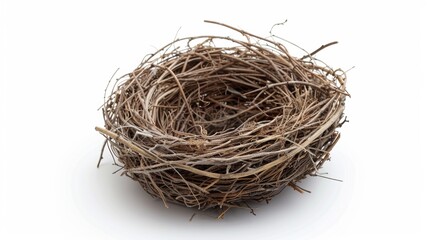 a birds nest Isolated on white background. concept of object nature for designer.
