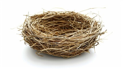 Obraz premium a birds nest Isolated on white background. concept of object nature for designer.