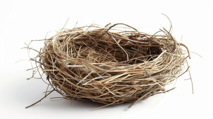 a birds nest Isolated on white background. concept of object nature for designer.