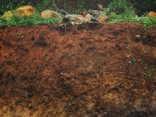 Fototapeta premium Brown soil texture with some rock and wild plant on the top