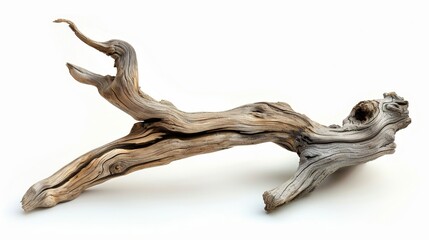 piece of driftwood Isolated on white background. concept of object waste for designer.