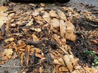 A pile of wood crumbs texture background 