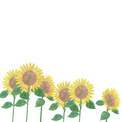 アナログで描いたひまわりの背景素材のベクターイラスト