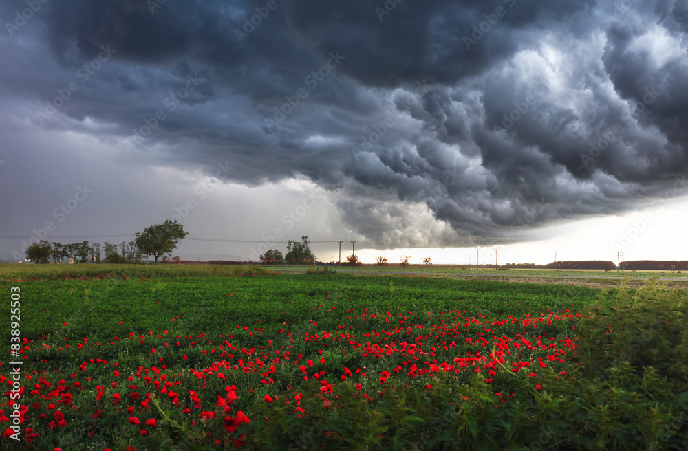 Poster Dark rain cloud with storm over a green field with path