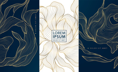 Vector set of gold floral patterns, line luxury frames, wedding background. Wine labels, ornaments, wave cards. Fancy royal design elements, vintage borders, elegant package