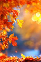 Fototapeta premium Vibrant autumn foliage creates an abstract backdrop, infusing the scene with the warmth and richness of the season.