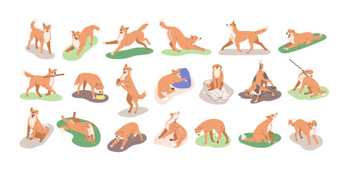 Dog behavior, canine activities set. Doggy playing, training, feeding, running, sleeping. Pet animals life, different poses, stances, actions. Flat vector illustrations isolated on white background © Good Studio