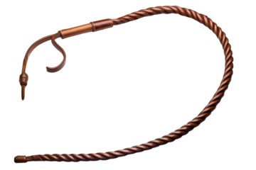 The Enchanted Lasso of Possibilities on a White or Clear Surface PNG Transparent Background..