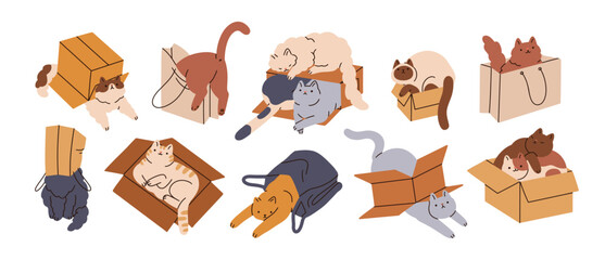 Cats in boxes set. Cute funny kitties in cardboard cartons and paper bags. Feline pets hiding in packages, lying inside. Curious animals. Flat graphic vector illustration isolated on white background