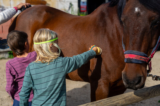 8 year old children grooming a horse