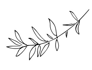 Branch with leaves. Nature and vegetation. Simple black outline vector drawing. Sketch in ink.
