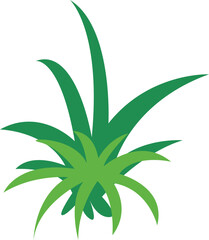 Green Grass Illustration Element