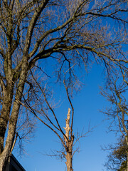 Glasgow, Scotland, United Kingdom