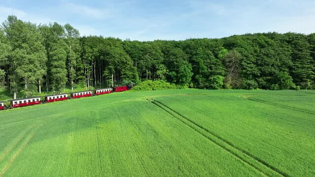 Steam train travels into a forest