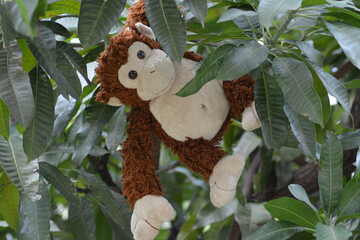 Photo Of A Stuffed Monkey On a Tree