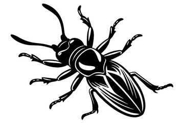 bombardier beetle silhouette vector illustration