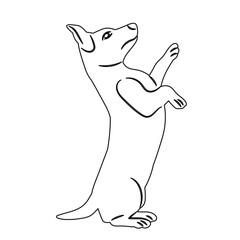 dog on hind legs outline sketch vector