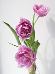 three pink tulips