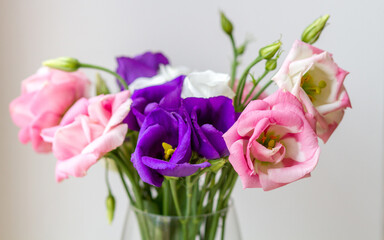 Eustoma in wineglass