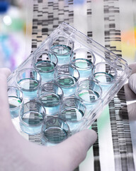 Genetic Research, Scientist holding a multi well plate and DNA gel revealing, the genetic make-up of the specimens