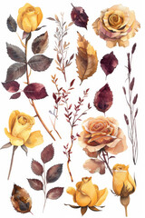 Vibrant yellow and burgundy watercolor roses, leaves, and branches on a white background.