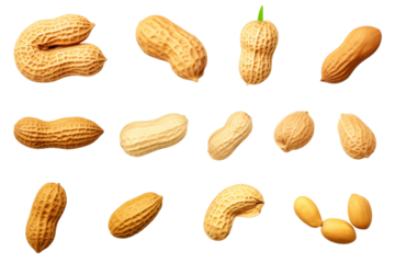 Reverie of Peanuts: A Whimsical Collection on a Blank Canvas on a White or Clear Surface PNG Transparent Background..