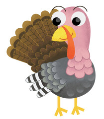 Cartoon funny cheerful farm animal bird turkey standing and smiling isolated illustration for children
